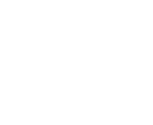 The Social Studios Logo