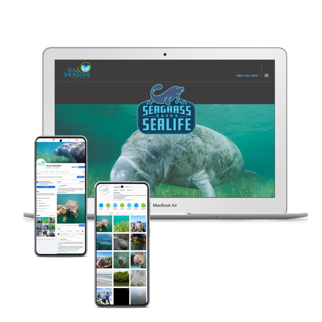 Sea Shoreline for web